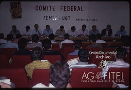 Comité Federal de FEMCA-UGT