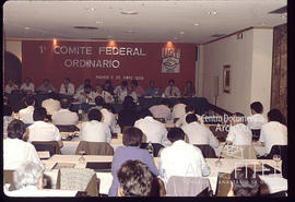 1º Comité Federal Ordinario