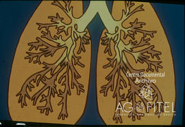 Dibujo de unos pulmones