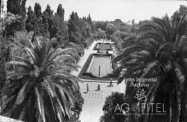 Vista de jardines en Sevilla
