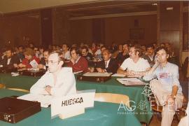 VIII Congreso de FEMCA