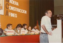 VIII Congreso de FEMCA