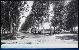 Banyoles (Girona)