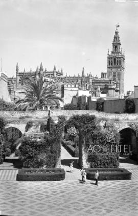 Vista catedral de Sevilla