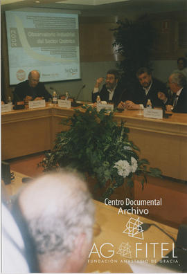 Reunión del Observatorio Industrial del Sector Químico del 2002