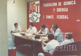 I Comité Federal de la Federación de Química y Energía