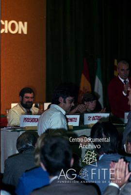 VIII Congreso de FEMCA