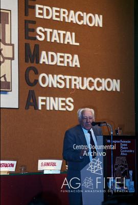 VIII Congreso de FEMCA