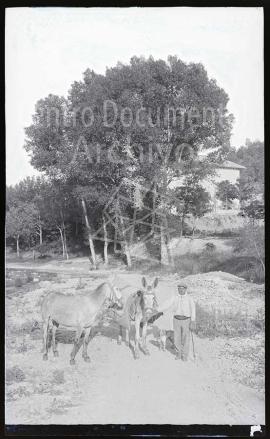 Vallfogona de Riucorb (Tarragona)