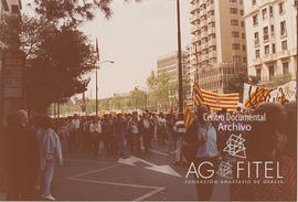 Manifestación en Zaragoza