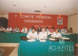 Comité Federal Ordinario