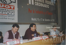 II Comité Federal Ordinario de FIA-UGT