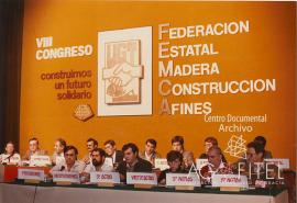 VIII Congreso de FEMCA