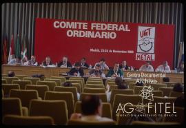 Comité Federal Ordinario