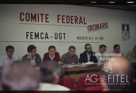 Comité Federal Ordinario de FEMCA-UGT